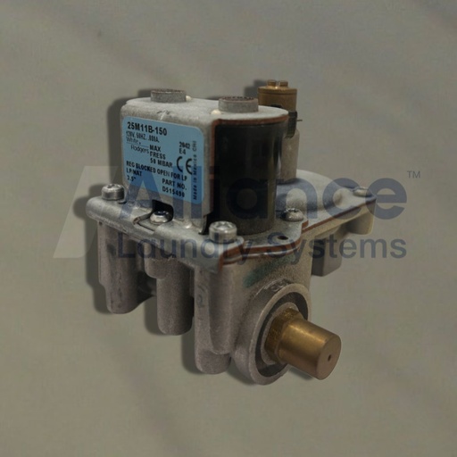 [D515490] ASSY,VALVE LP(50 HZ, 25,000 BTU)